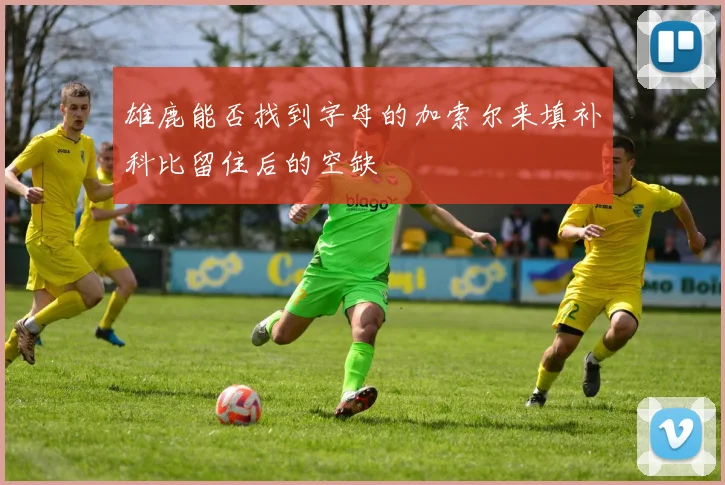 雄鹿能否找到字母的加索尔来填补科比留住后的空缺