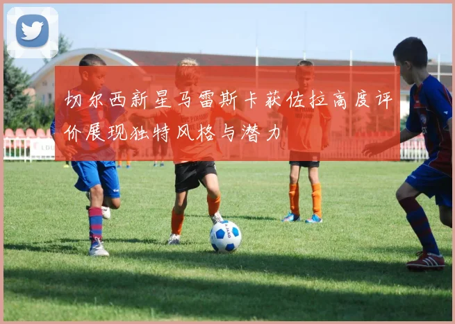 切尔西新星马雷斯卡获佐拉高度评价展现独特风格与潜力