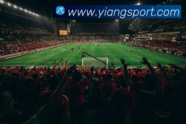 多媒体互动体验